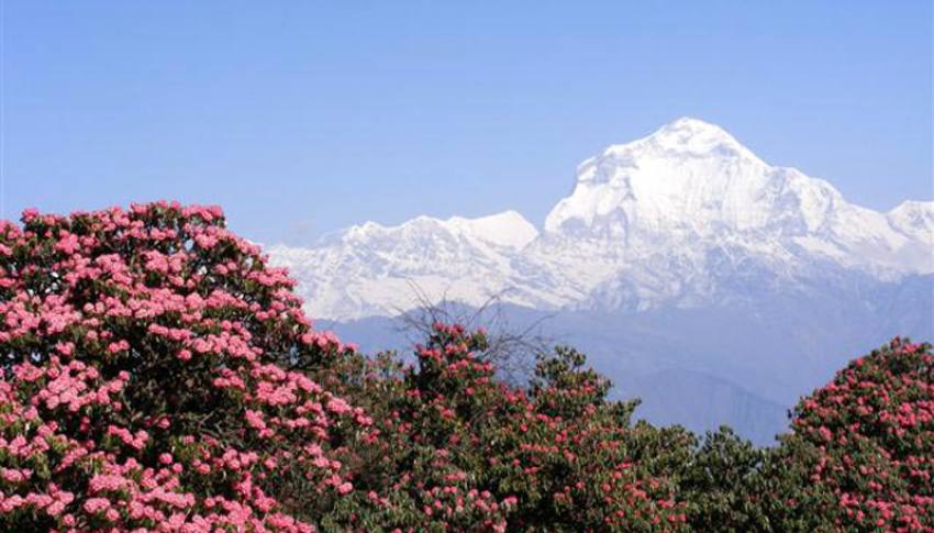 Annapurna Dhaulagiri