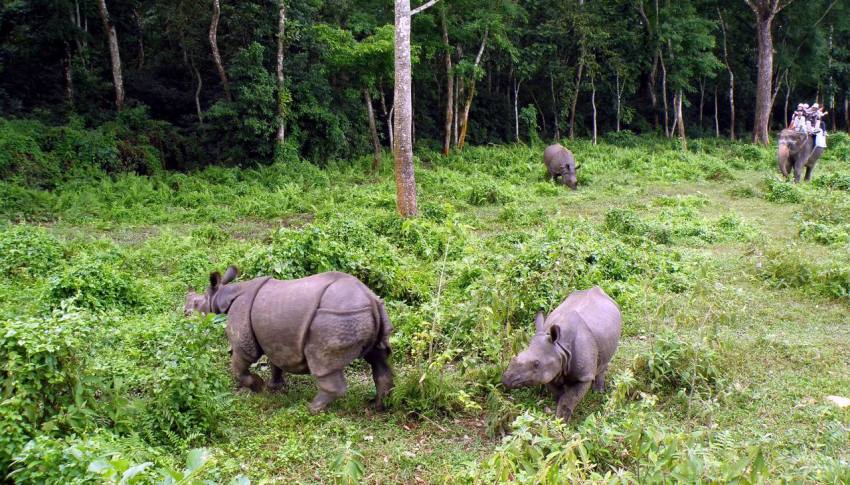 Bardia National Park