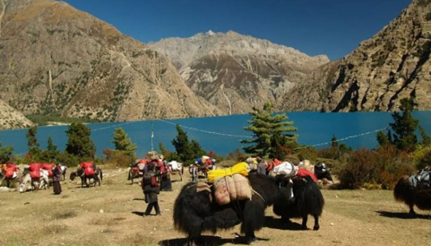 Dolpo Highlights