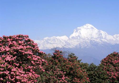 Annapurna Dhaulagiri