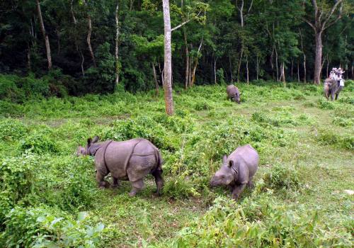 Bardia National Park