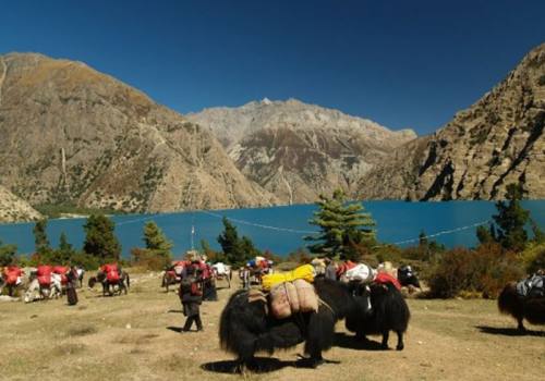 Dolpo Highlights